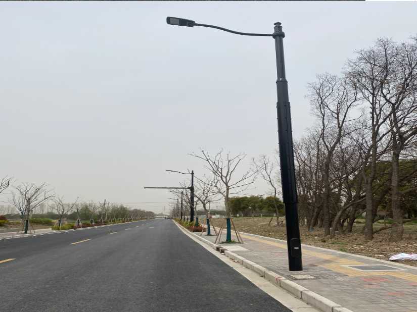 陆川县上海综合杆 太阳能路灯工程
